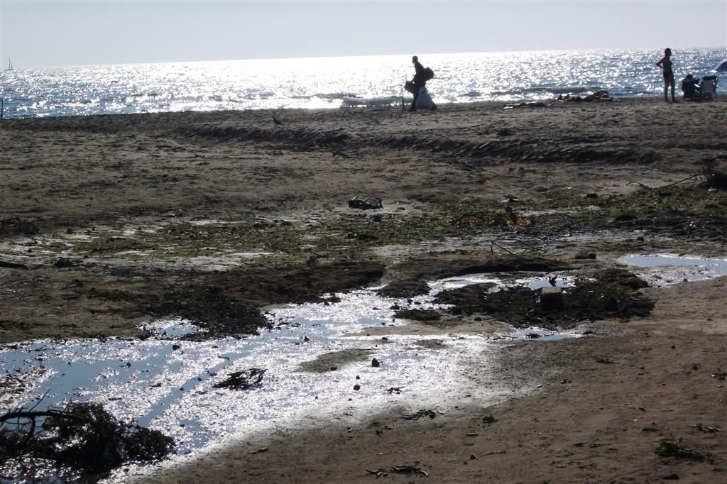 Reportage fotografico Fosso di San Vincenzo (LI)